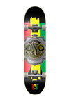 DNG Skateboards Skate Completo DNG Profissional Jamaica Street 7.5"