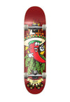 DNG Skateboards Skate Completo DNG Profissional Hot Spice Street 7,5"